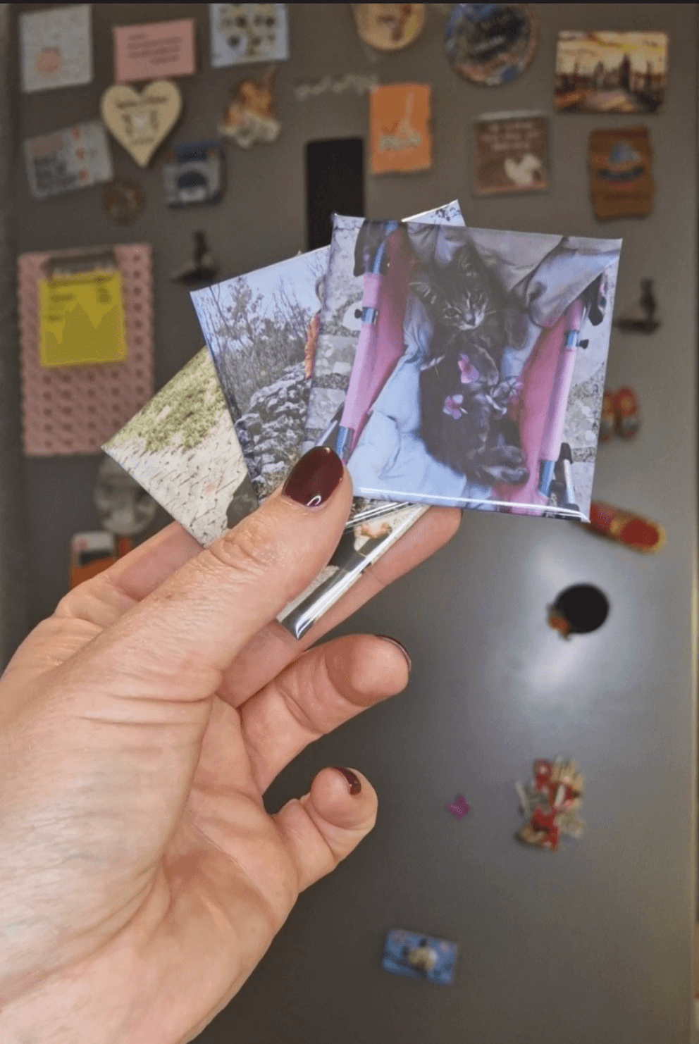 Foto magneti na hladnjaku - personalizirani pokloni